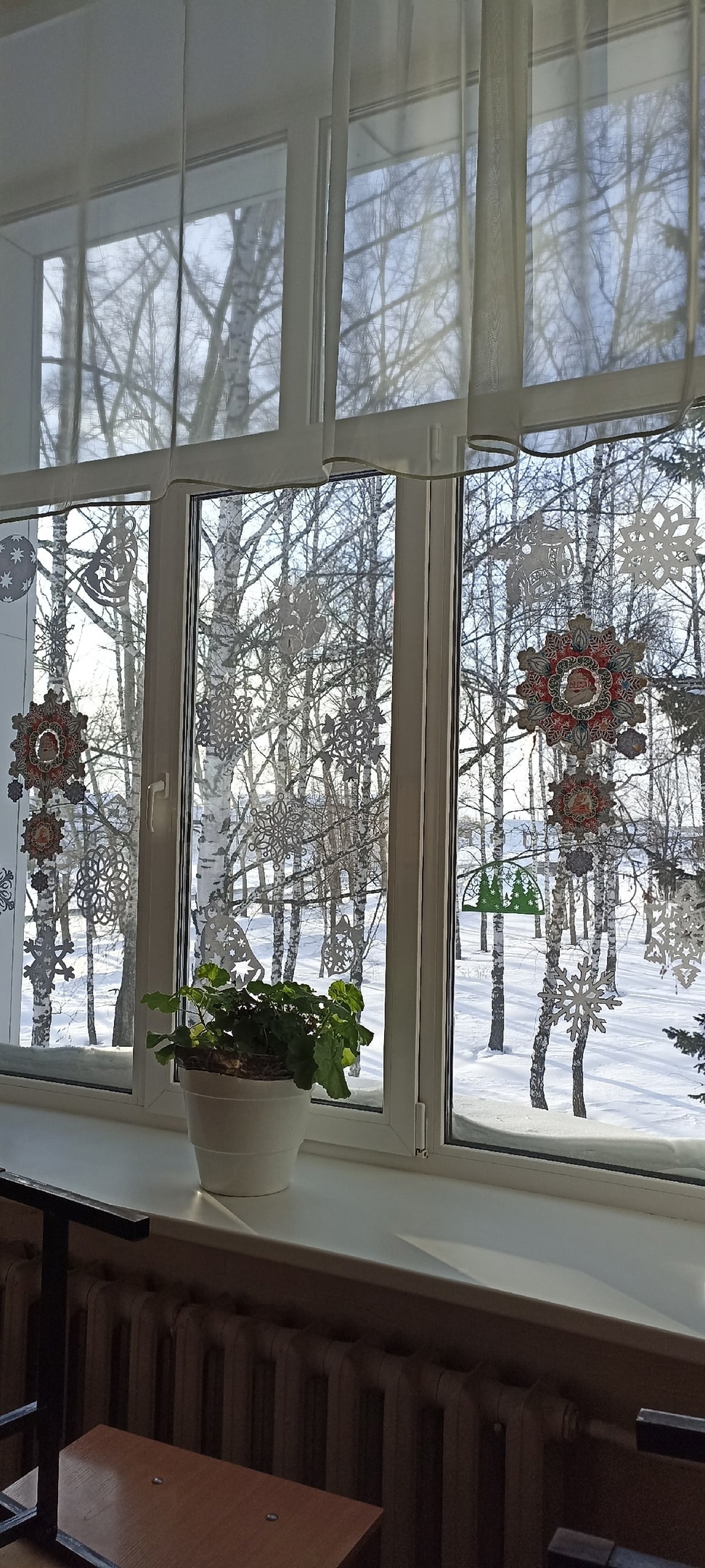 новогодние окна (8)