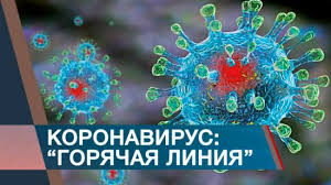 короновирус, горячая линия